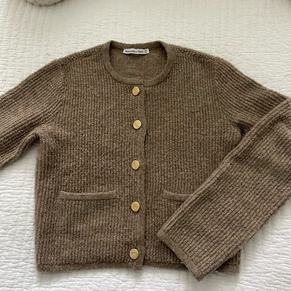 Abercrombie & Fitch Brown Sweater with Gold Buttons